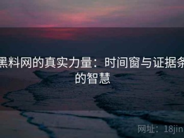 黑料网的真实力量：时间窗与证据条的智慧
