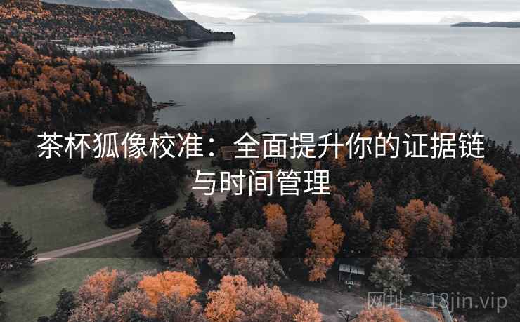 茶杯狐像校准：全面提升你的证据链与时间管理