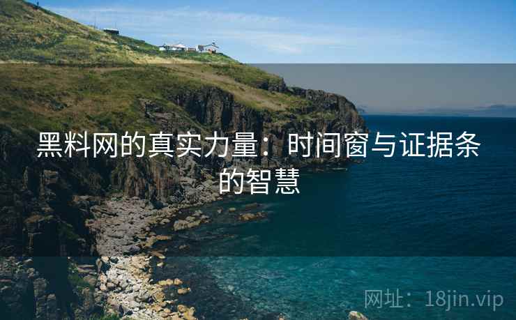 黑料网的真实力量：时间窗与证据条的智慧